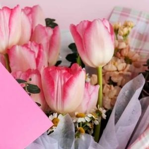 Meet your Posher, Gerlie